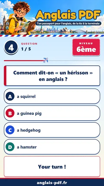 QCM anglais 6ème en vidéo : Les animaux